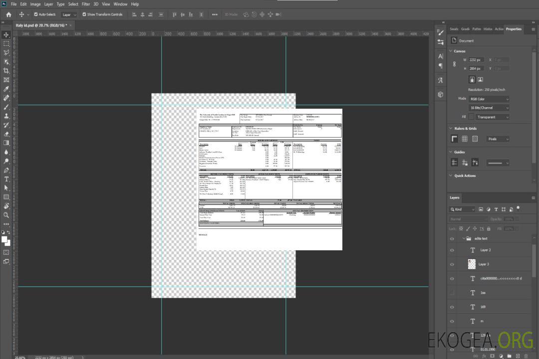 Modèle Word et PDF de bulletin de paie de l'Université de Caroline du Nord template Modèle Word et PDF de bulletin de paie de l'Université de Caroline du Nord template